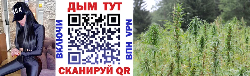 Наркотические вещества Мензелинск Бошки Шишки  СК  КОКАИН  Гашиш  Вейп ТГК  Меф 